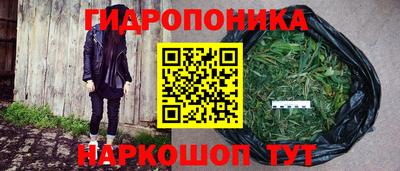 Альфа ПВП Берёзовский