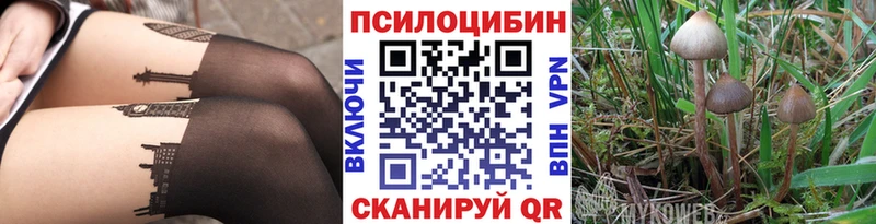 МЕГА сайт где продают Димитровград Псилоцибиновые грибы Magic Shrooms