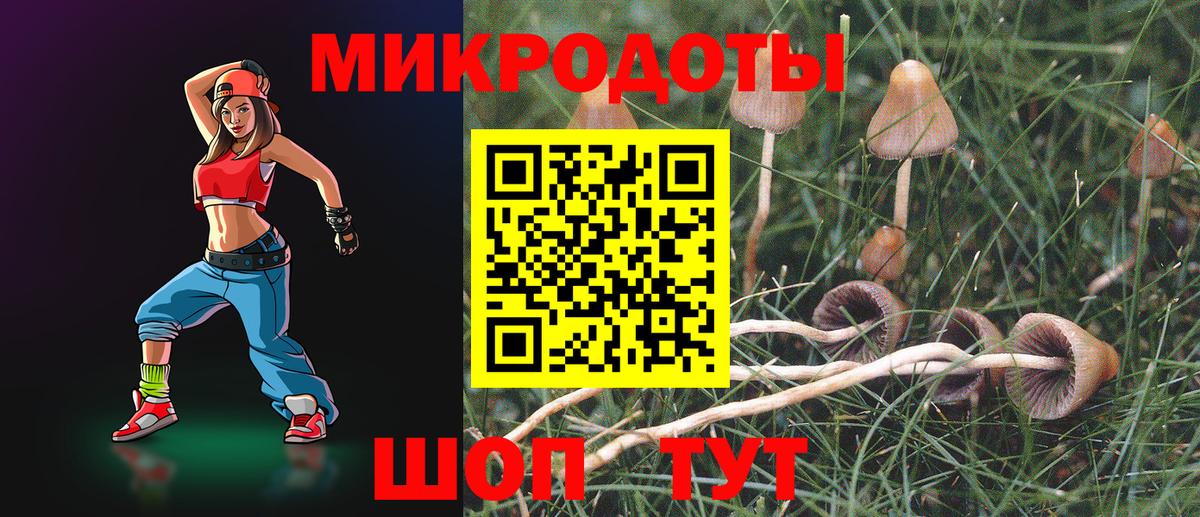 Димитровград  Псилоцибиновые грибы Psilocybine cubensis  Псилоцибиновые грибы мицелий  наркошоп  Вход с VPN 