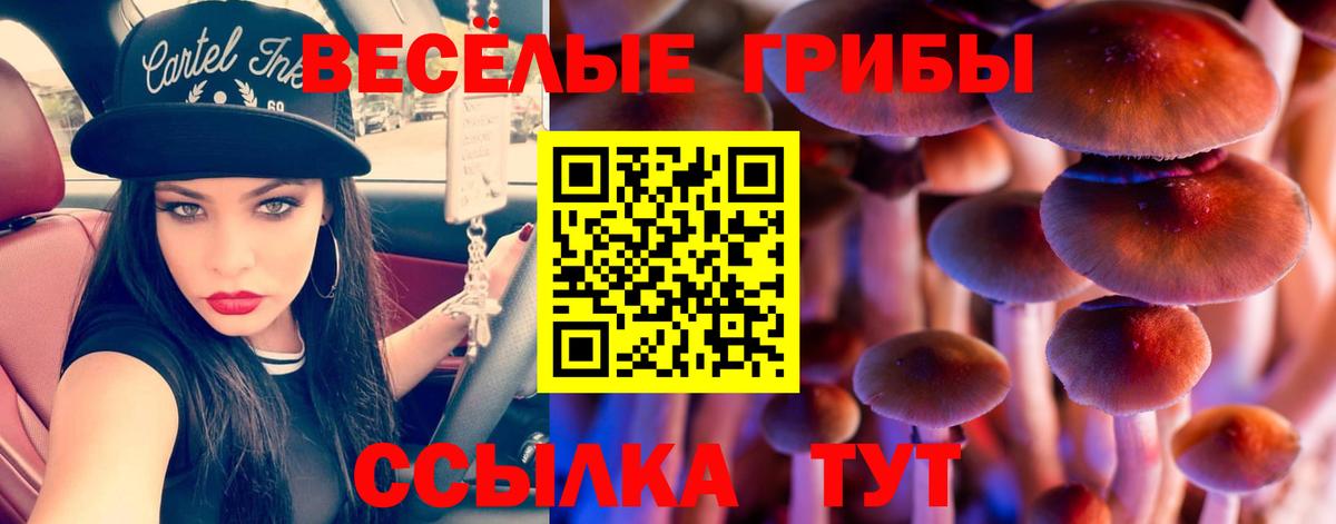 Псилоцибиновые грибы MAGIC MUSHROOMS  закладки  Галлюциногенные грибы мухоморы  Димитровград 