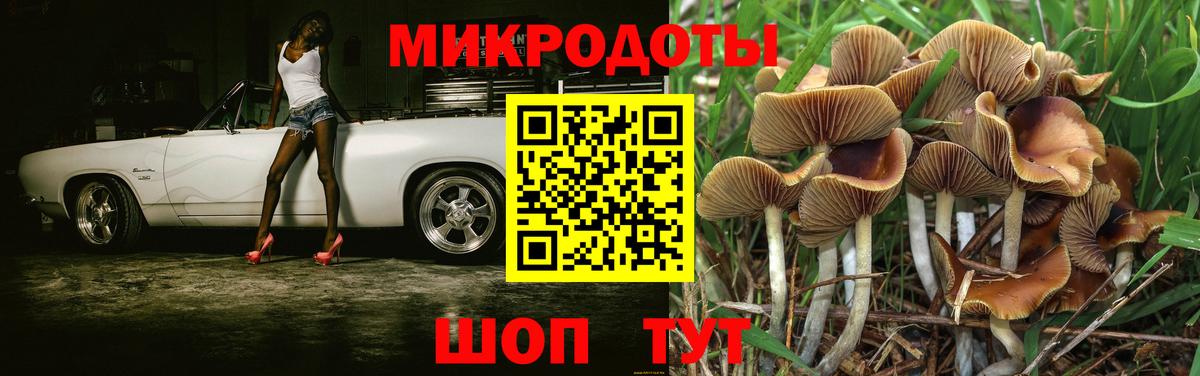 Галлюциногенные грибы Magic Shrooms Димитровград
